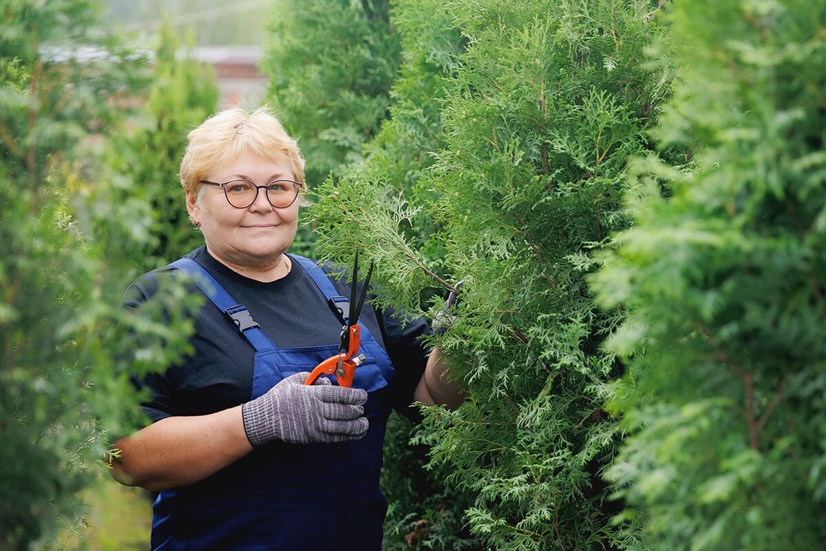 Без острого секатора участок в порядок привести не получится📷
