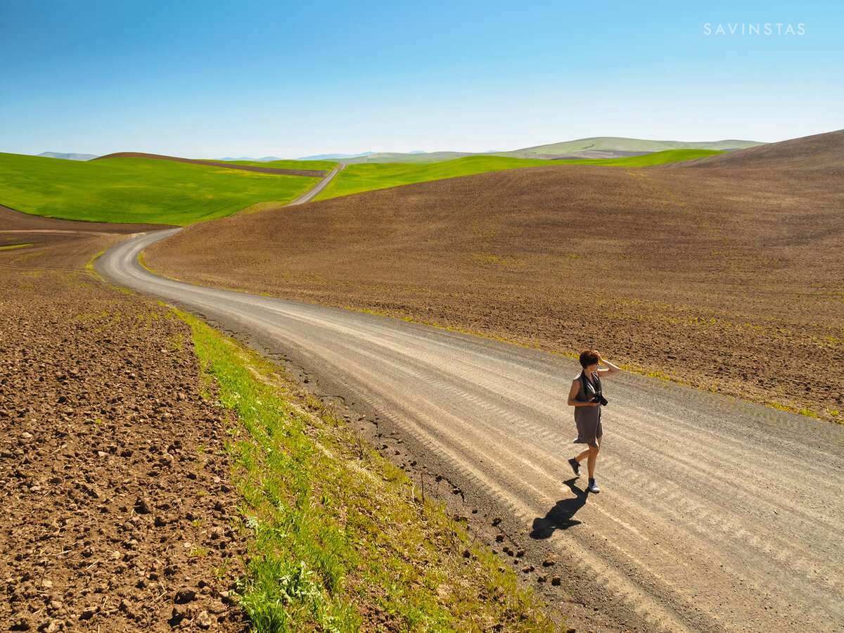 Листай галерею