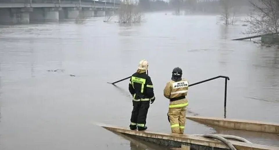    РИА «Новости»