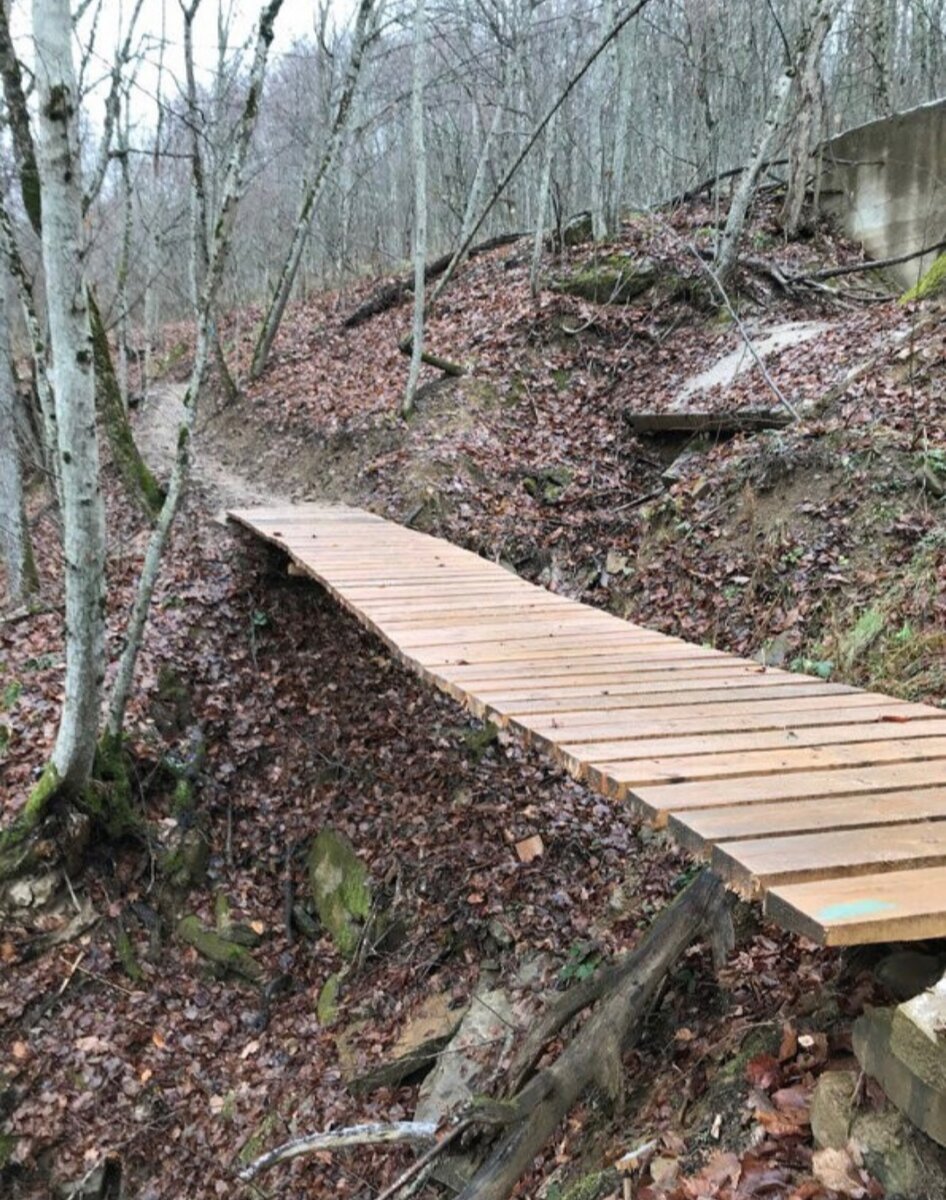 Весенняя прогулка. | kaleidoscope | Дзен