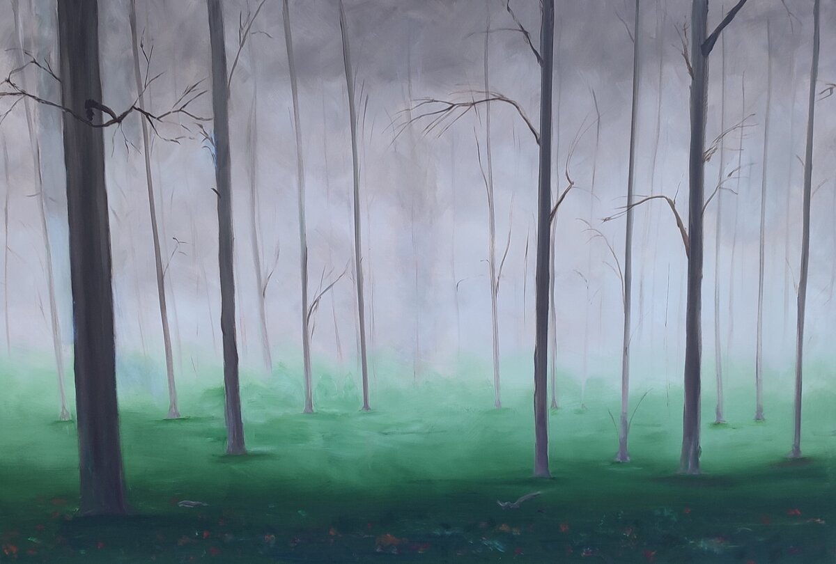 Туманный лес 