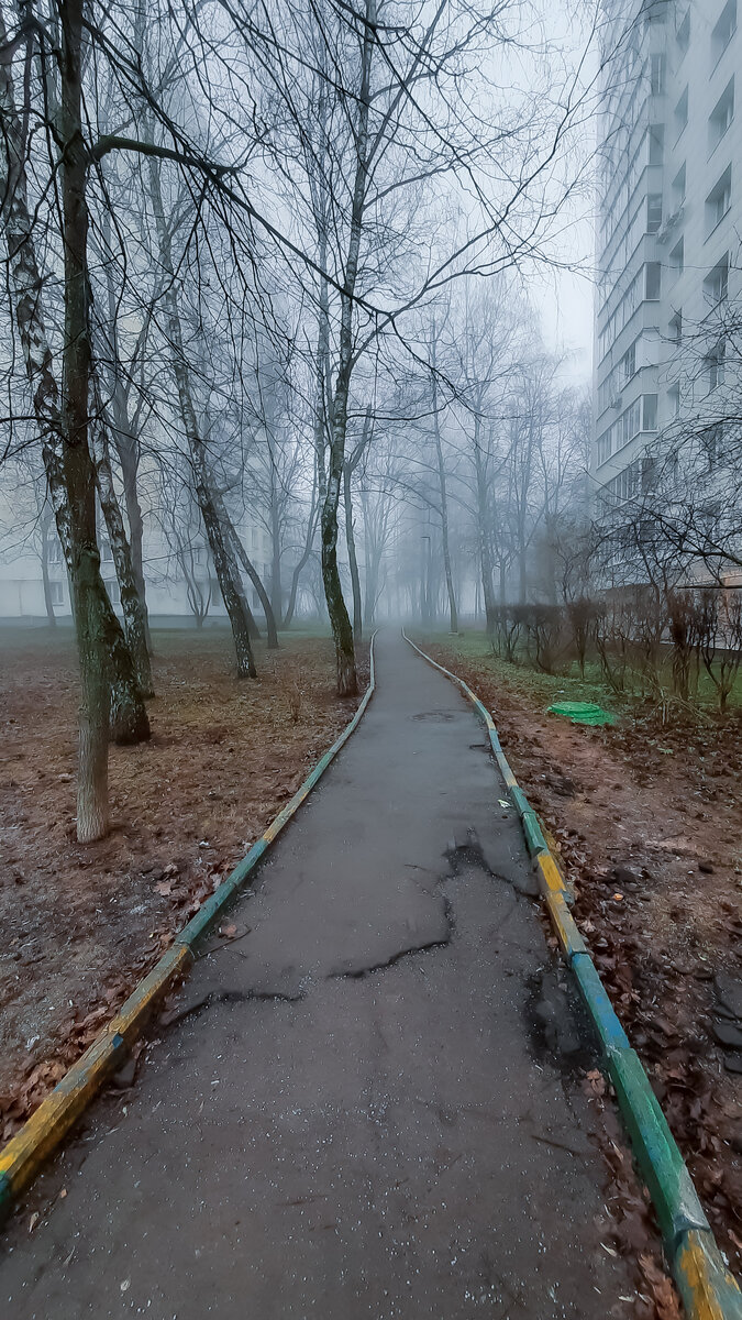 Такой мягкий и пушистый