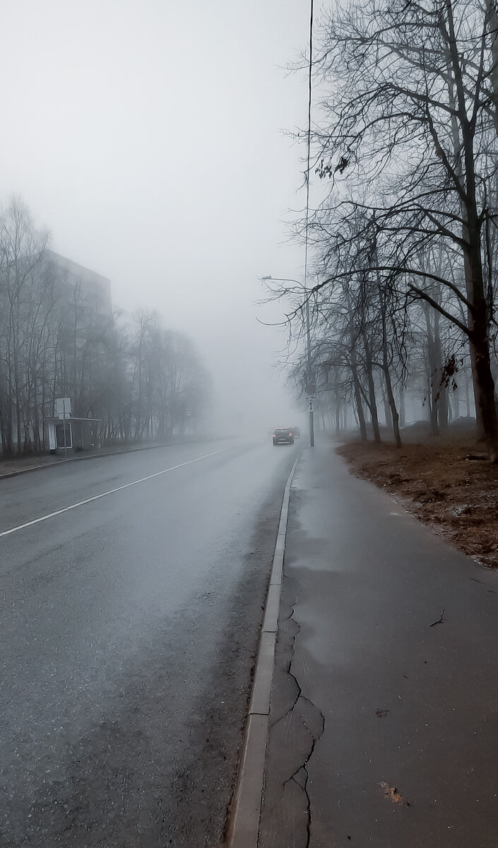 Я очень люблю туманы