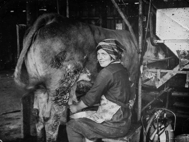 Фото: Алексей Дацковский