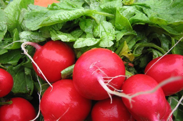    Правда ли, что употребление редиса влияет на работу щитовидной железы?