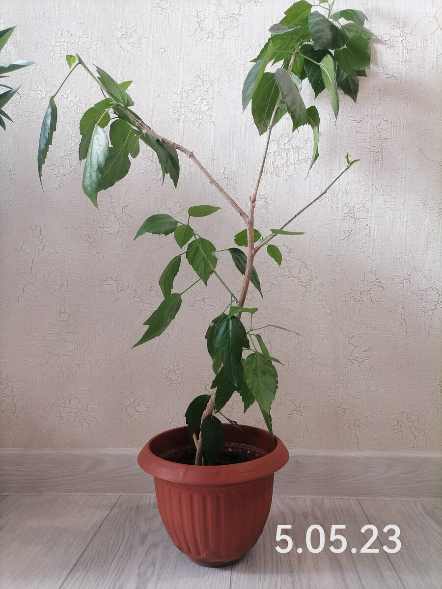 А я не такой, а я не такой.