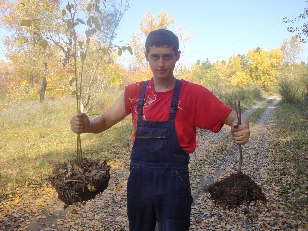 Садовод Сергей Железов