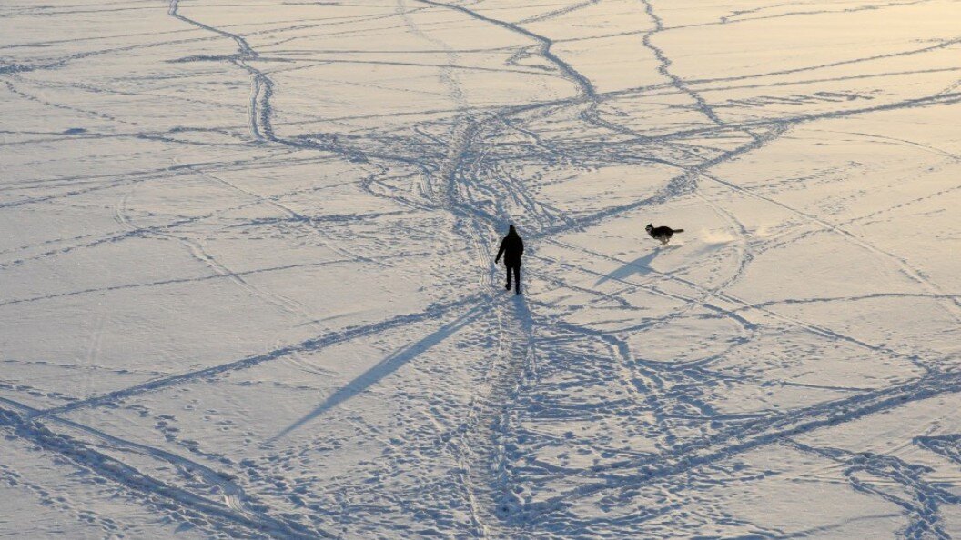    Zamir Usmanov/Globallookpress