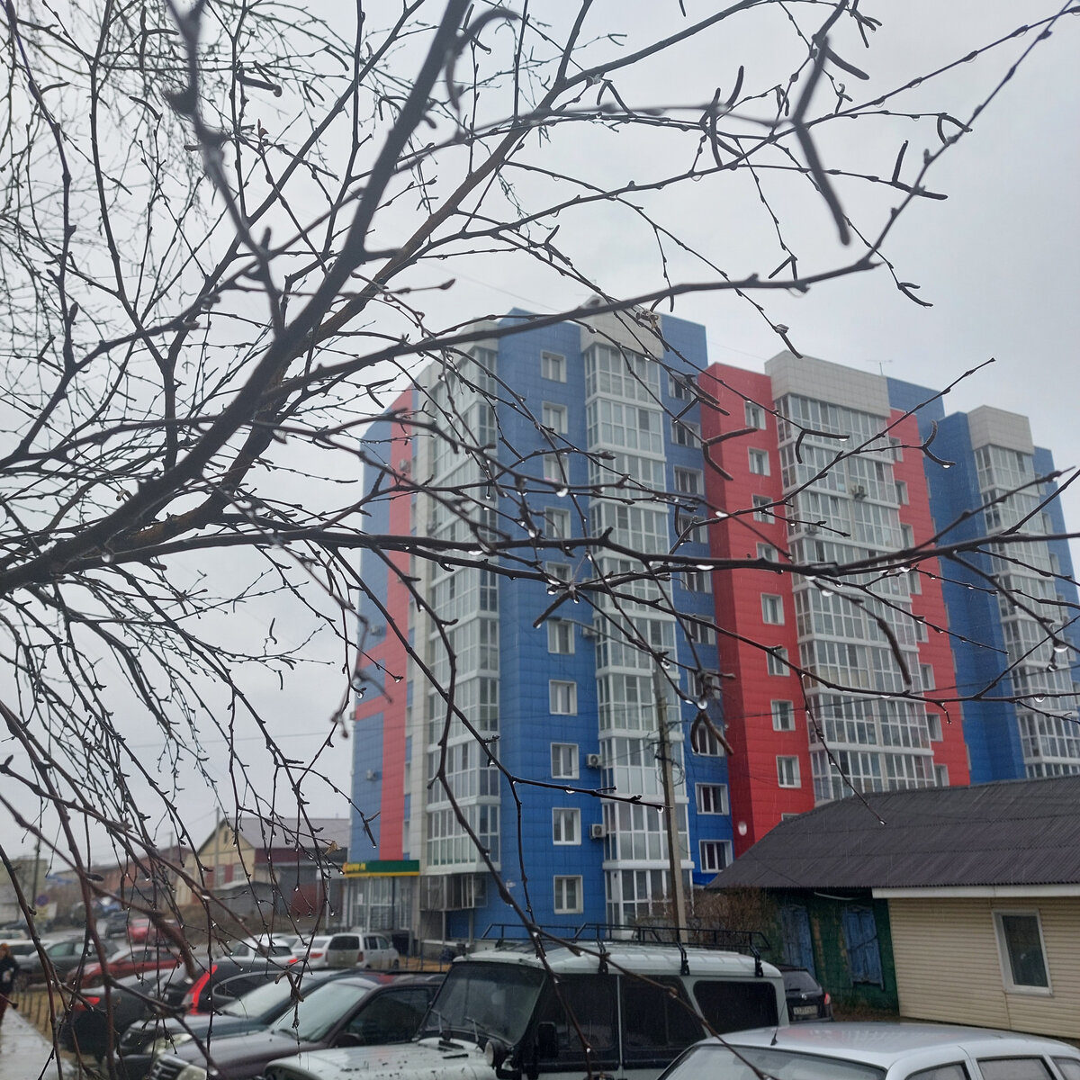 Дождик поливает настойчиво... В горах, возможно, реки уже вздулись. Возможно, что и территории дачных поселков по Оби и по другим рекам много чего затопит. Сегодня прочитала, что на маминой родине, на Дону, в г. Калач тоже подтопление ... Про Урал молчу. Да и у нас, в районе Тальменки и около неё Чумыш разлился.