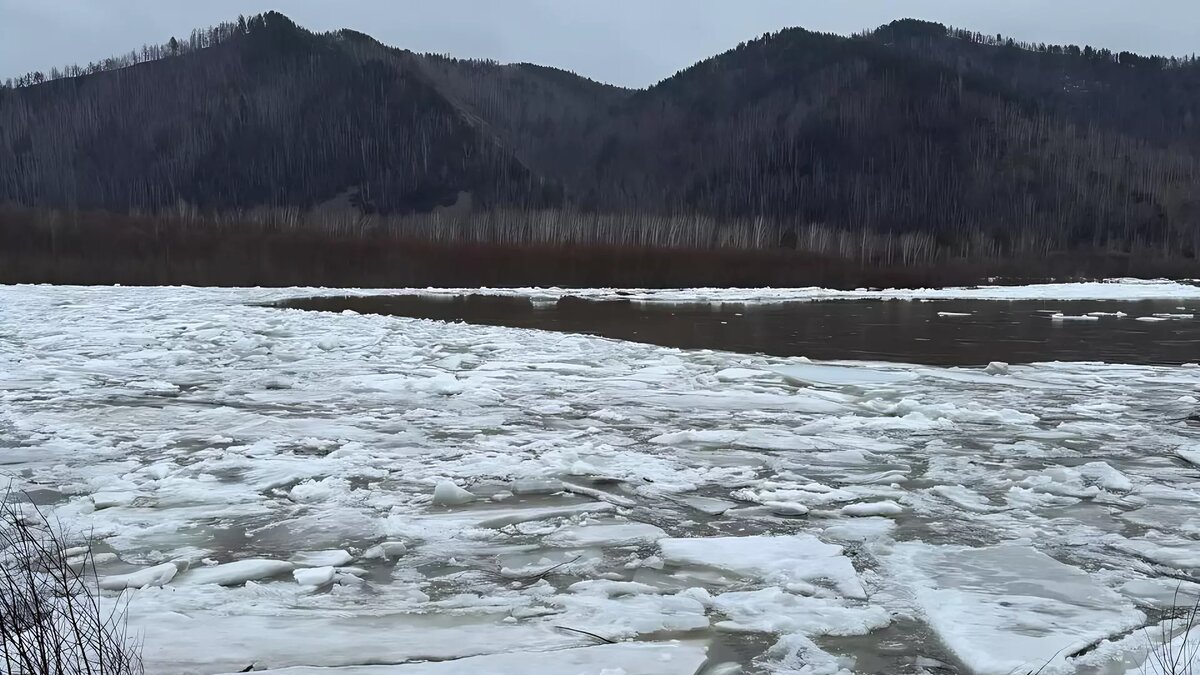     Ситуация с паводком в Абазе продолжает ухудшаться. В городе вводят режим ЧС, сообщает мэр Абазы Валентина Филимонова.