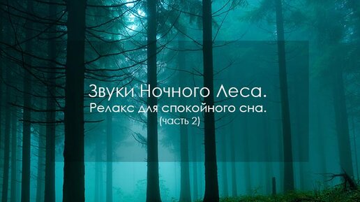 Звуки Ночного Леса. Релакс для спокойного сна. (2_82)