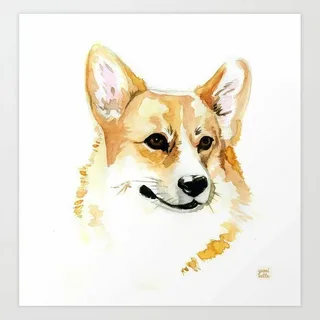 Картинка из интернета