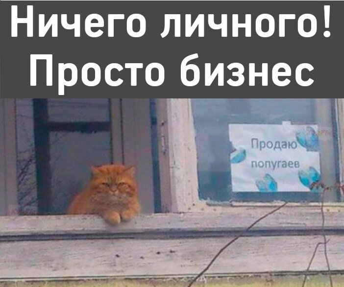 Морда у котэ соответствующая =)