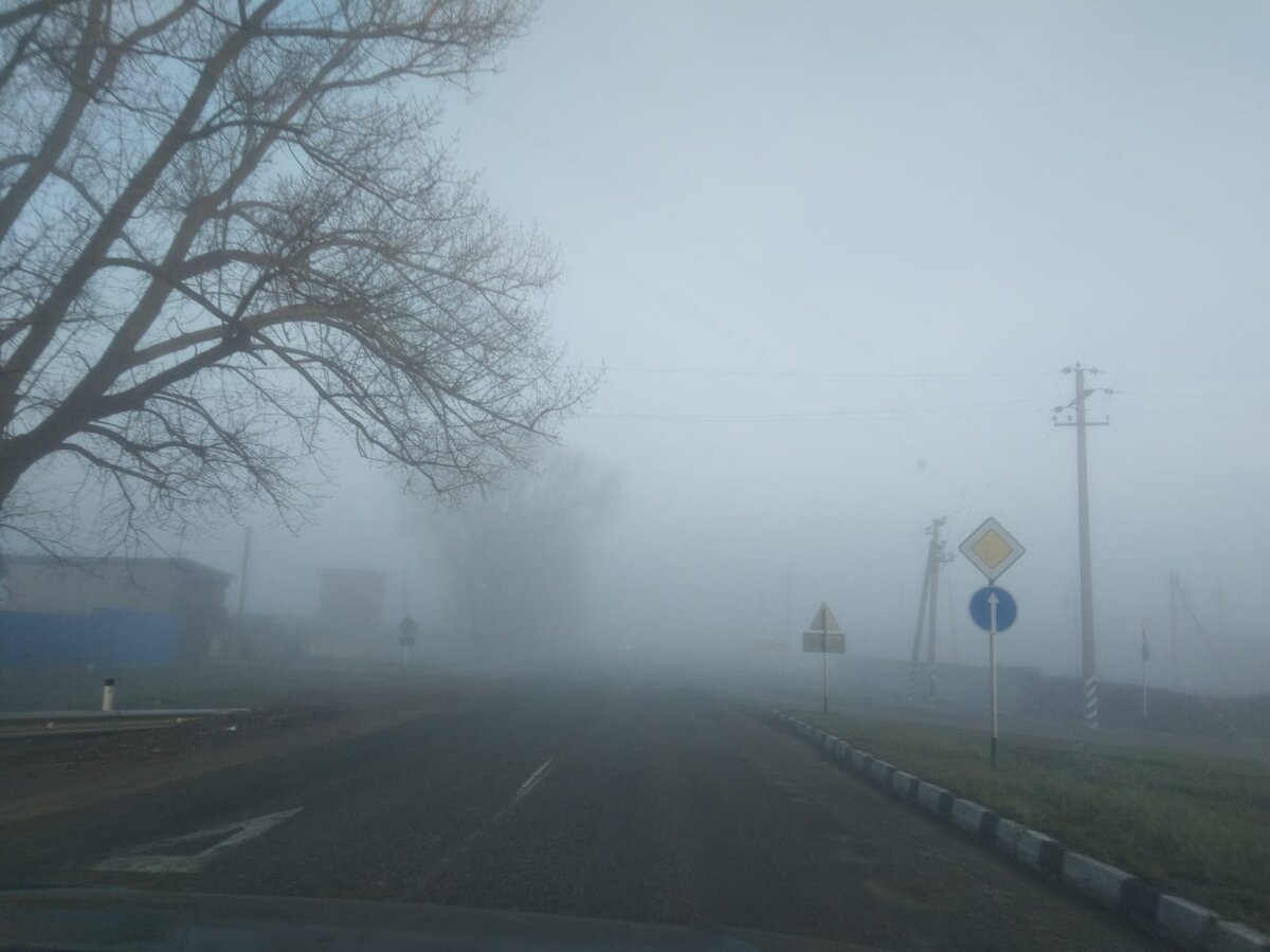 Мне прямо сразу вспомнился фильм "Мгла". Жутковато в таком тумане ехать.