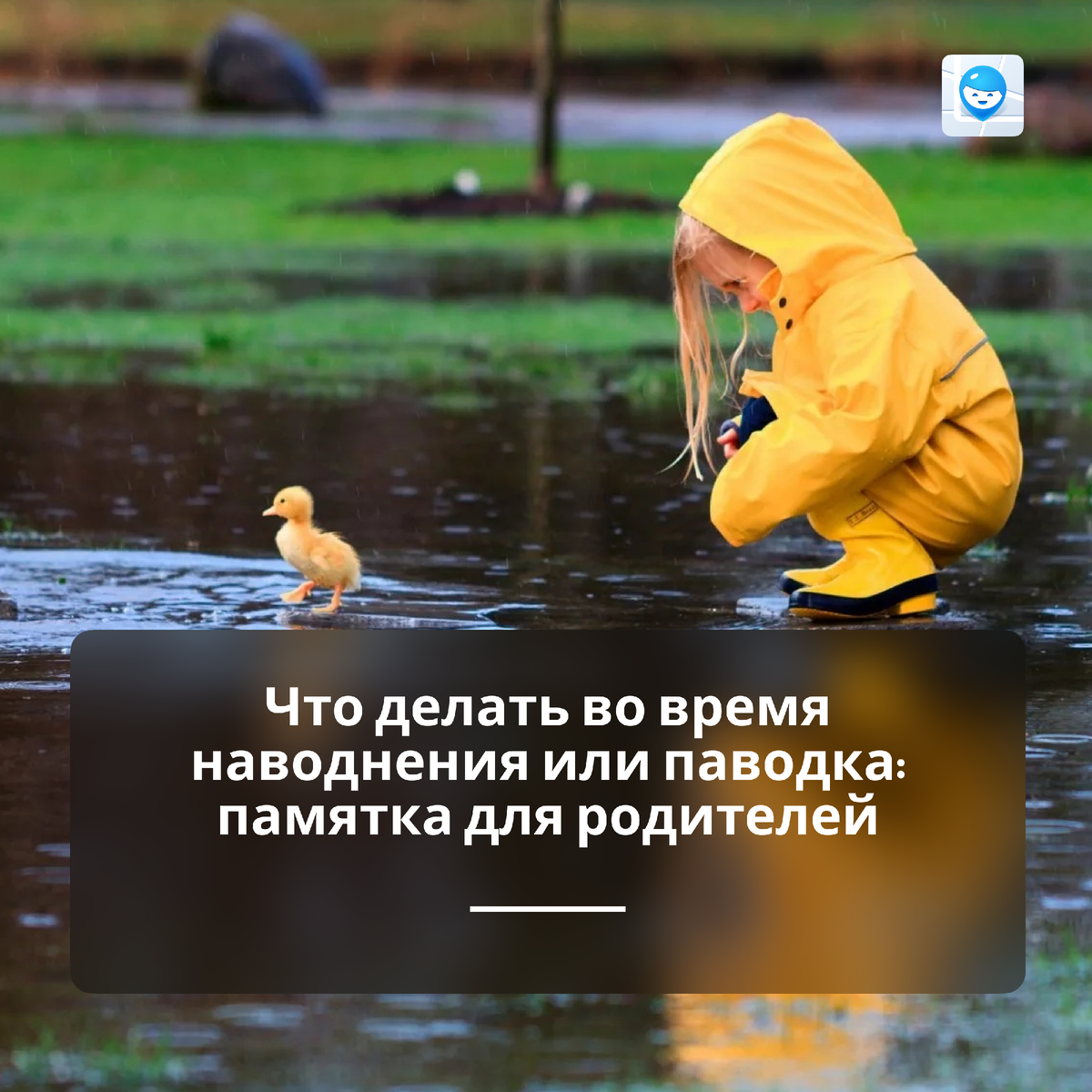 Из-за аномальных паводков жители нескольких регионов России и Казахстана столкнулись с проблемой наводнений. Наводнение — стихийное бедствие, при котором значительная территория затопляется водой.