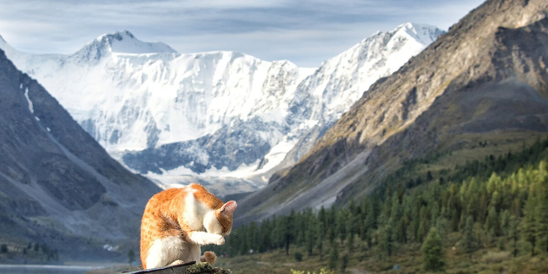 5 прекрасных мест, куда поехать отдыхать в мае в России