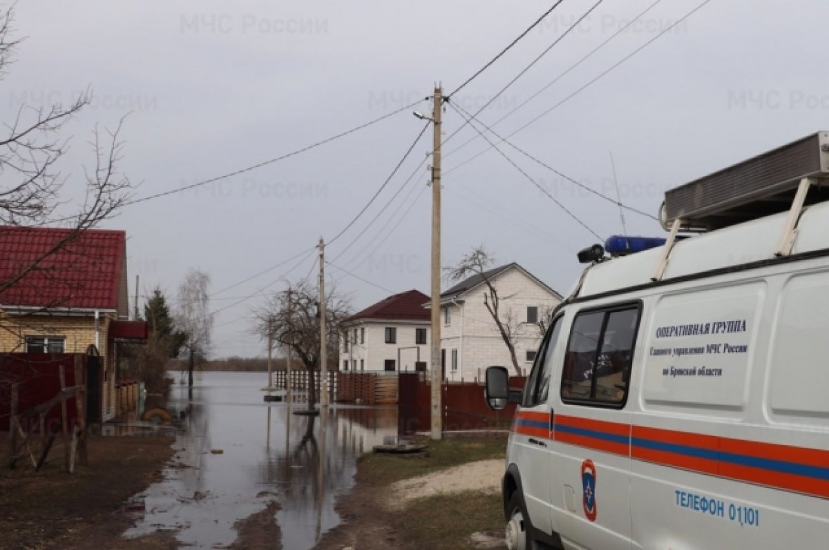    В зоне паводкового затопления на Брянщине остаются менее 200 объектов