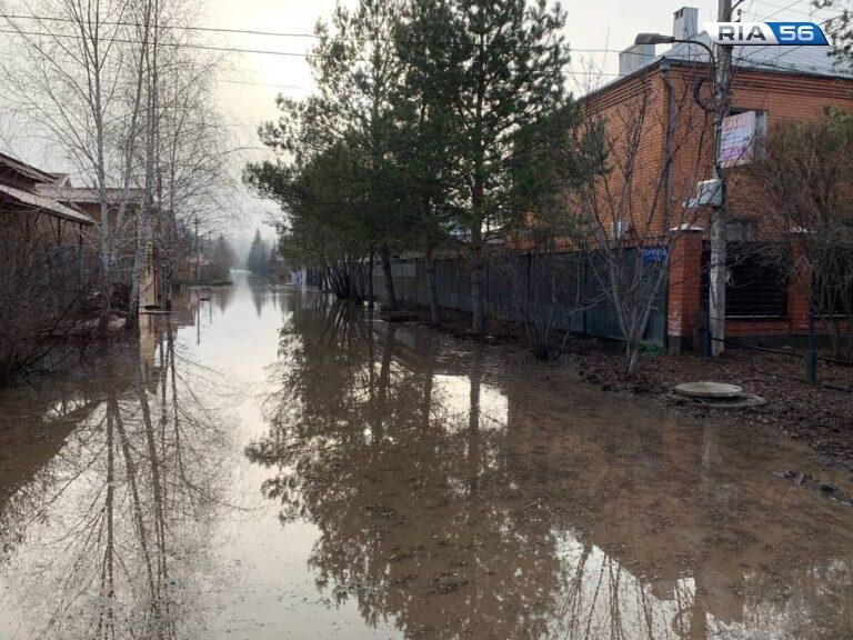    За сутки в Оренбуржье оказались подтоплены 1376 жилых домов и 2753 приусадебных участка Кристина Просвиркина
