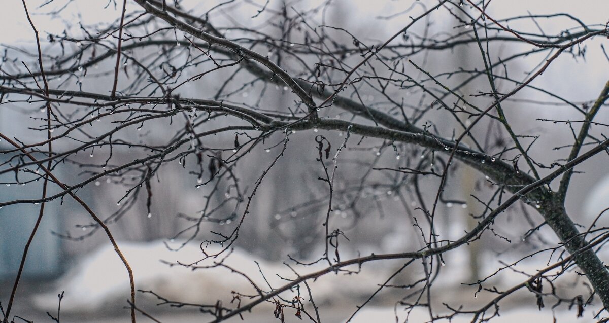 Светлана Мулыкина📷
