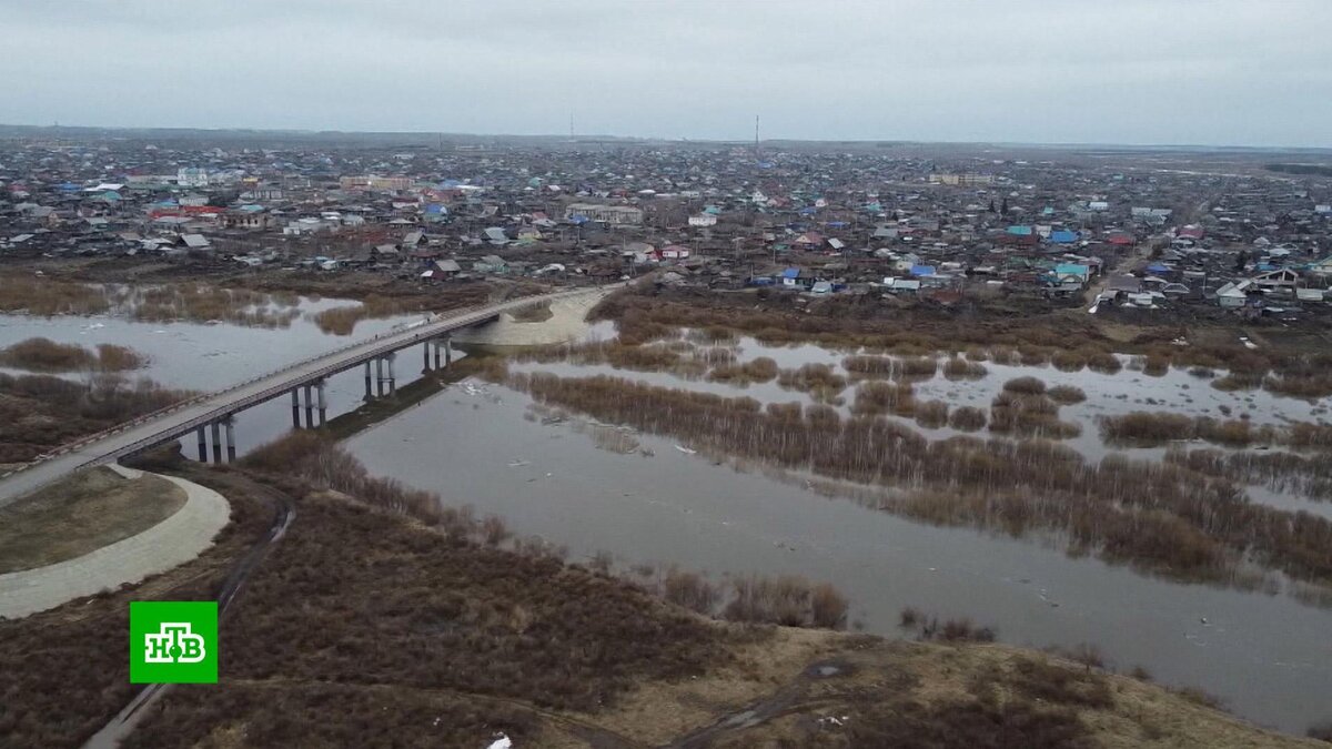 Уровень воды в курганском селе вырос до 10 метров | НТВ: лучшее | Дзен