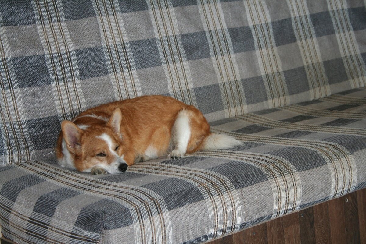 Дома на диване