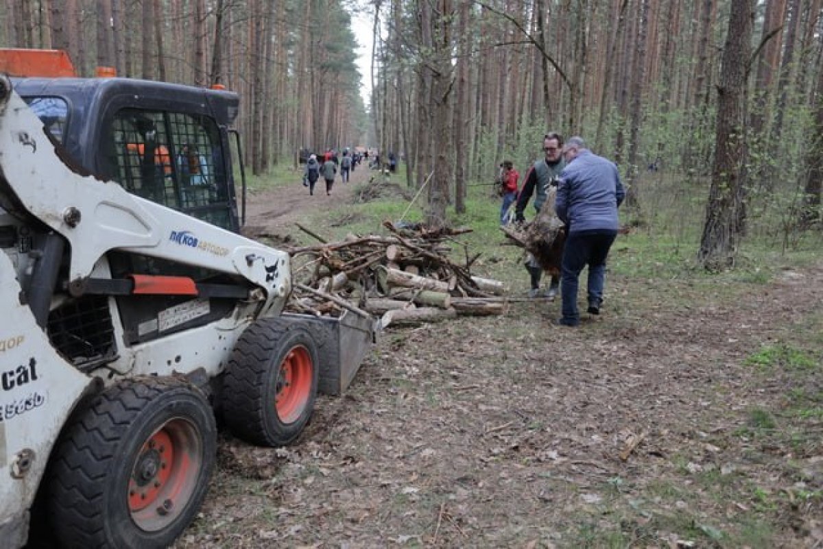    За неделю во Владимирской области ликвидировали 17 стихийных свалок