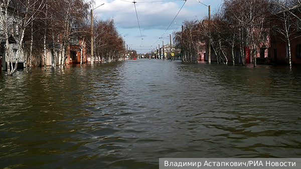     Фото: Владимир Астапкович/РИА Новости   
 Текст: Александра Юдина