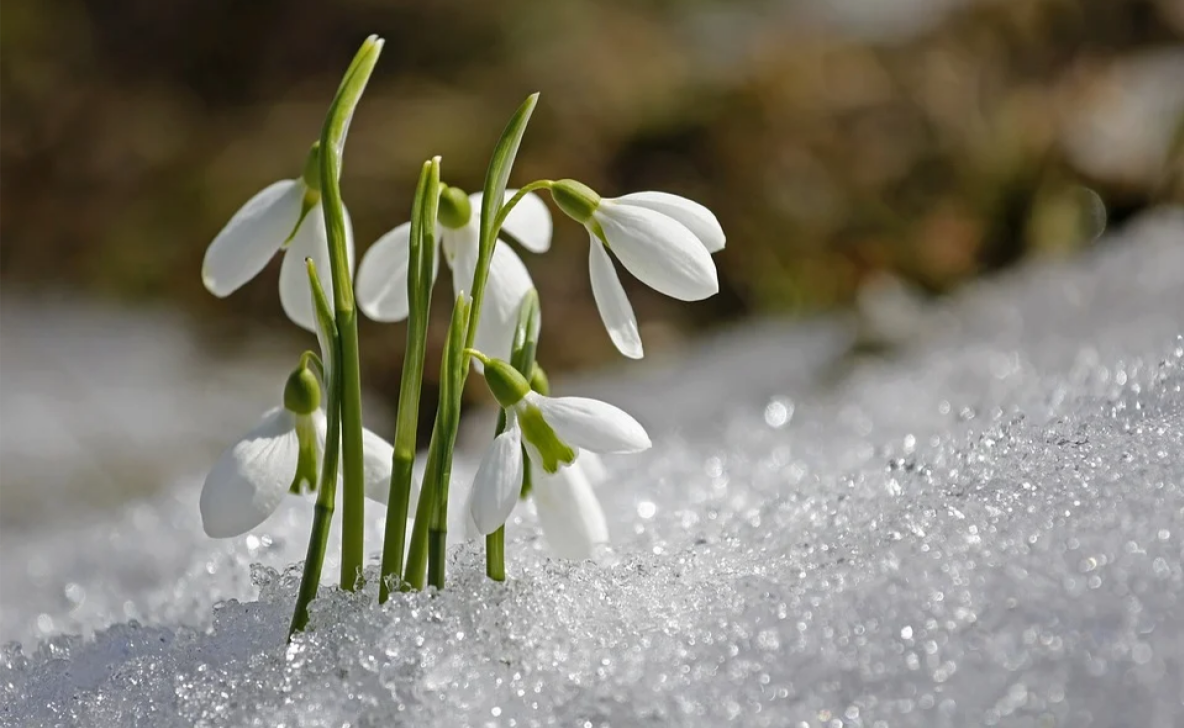 Весенние народные приметы