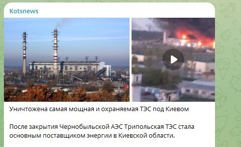    Скриншот: Telegram/Kotsnews