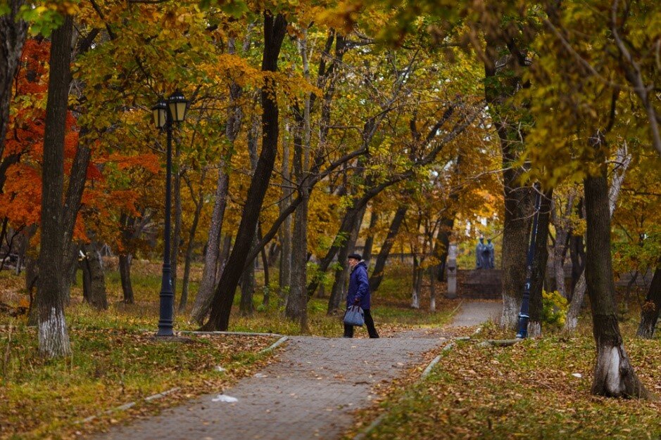 Осень в городском парке