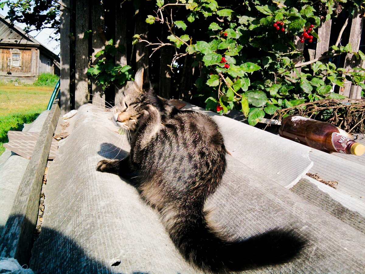 Фото автора