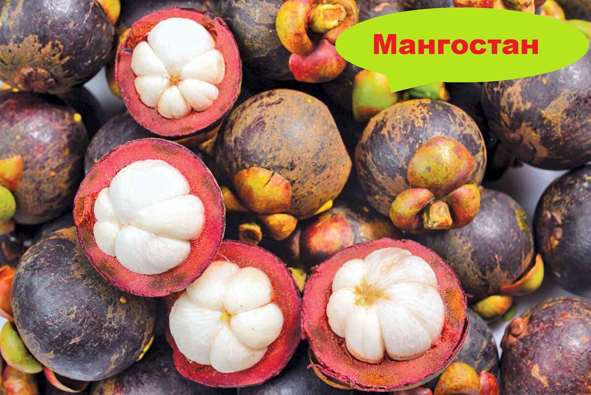 Фрукт Мангостат