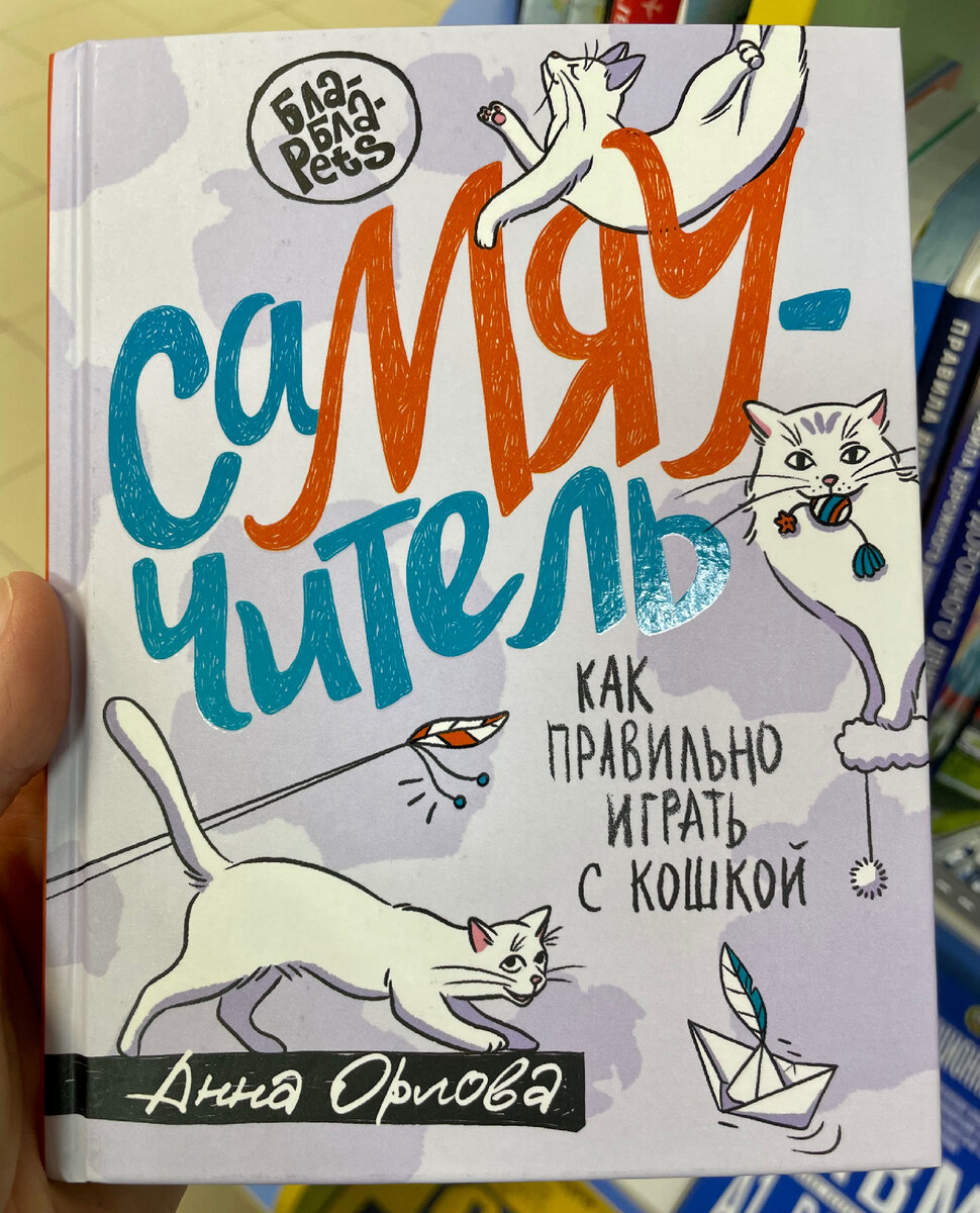 Совет современного зоолога по отучению кошки гадить на ковре меня изрядно  озадачил | Кошка.ru | Дзен