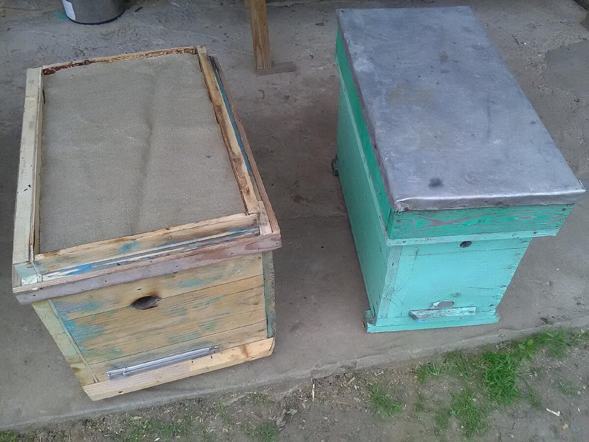 Здесь, в отводках будут стоять рамки от сильных пчелосемей