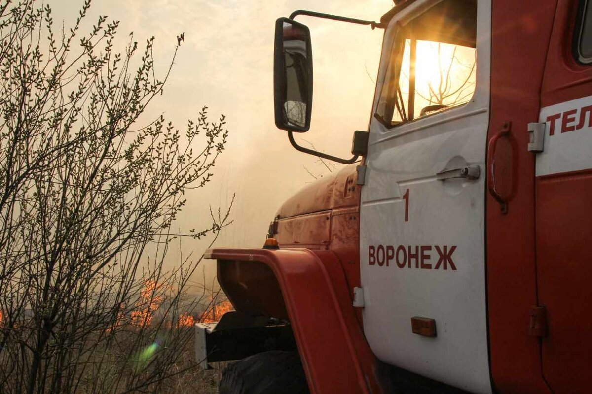 Высокий уровень пожарной опасности ввели в 19 районах Воронежской области |  Горком36 | Воронеж | Дзен