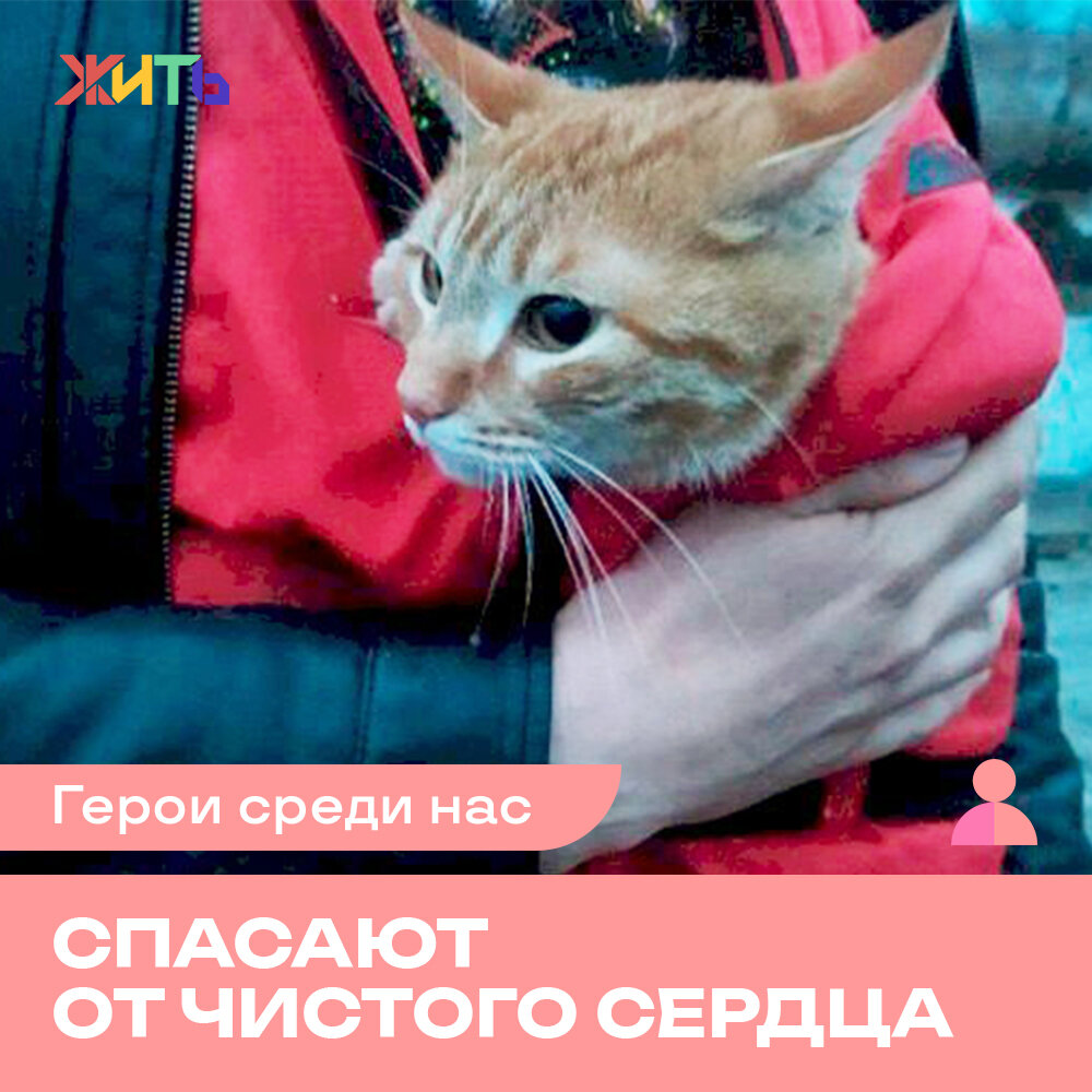 Супруги Маруся и Вячеслав спасают собак и кошек в затопленных районах Оренбурга🙏             На сегодня им удалось спасти уже полсотни животных. И это несмотря на то, что они сами пострадали из-за паводка. Их дом затопило по самую крышу. 
Уставшие, оставшиеся без дома, эти люди делают все возможное, чтобы помочь тем, кто нуждается.

Спасибо за вашу помощь! Пусть у вас все будет хорошо🙌