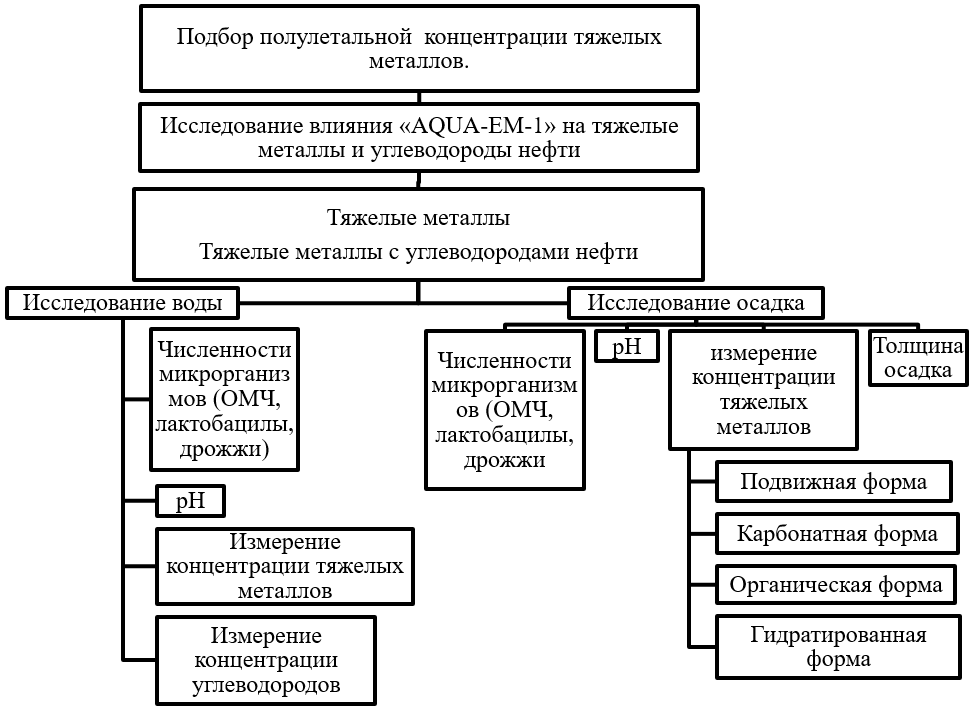 Рисунок 1. Схема эксперимента