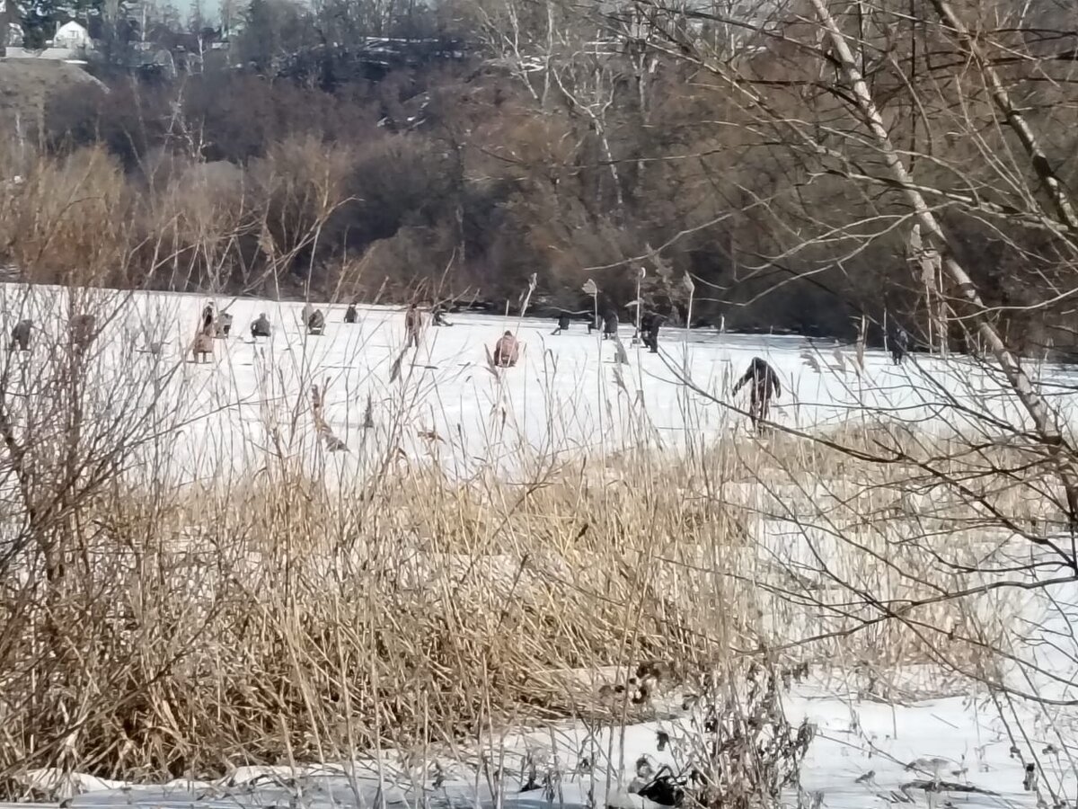Личное фото