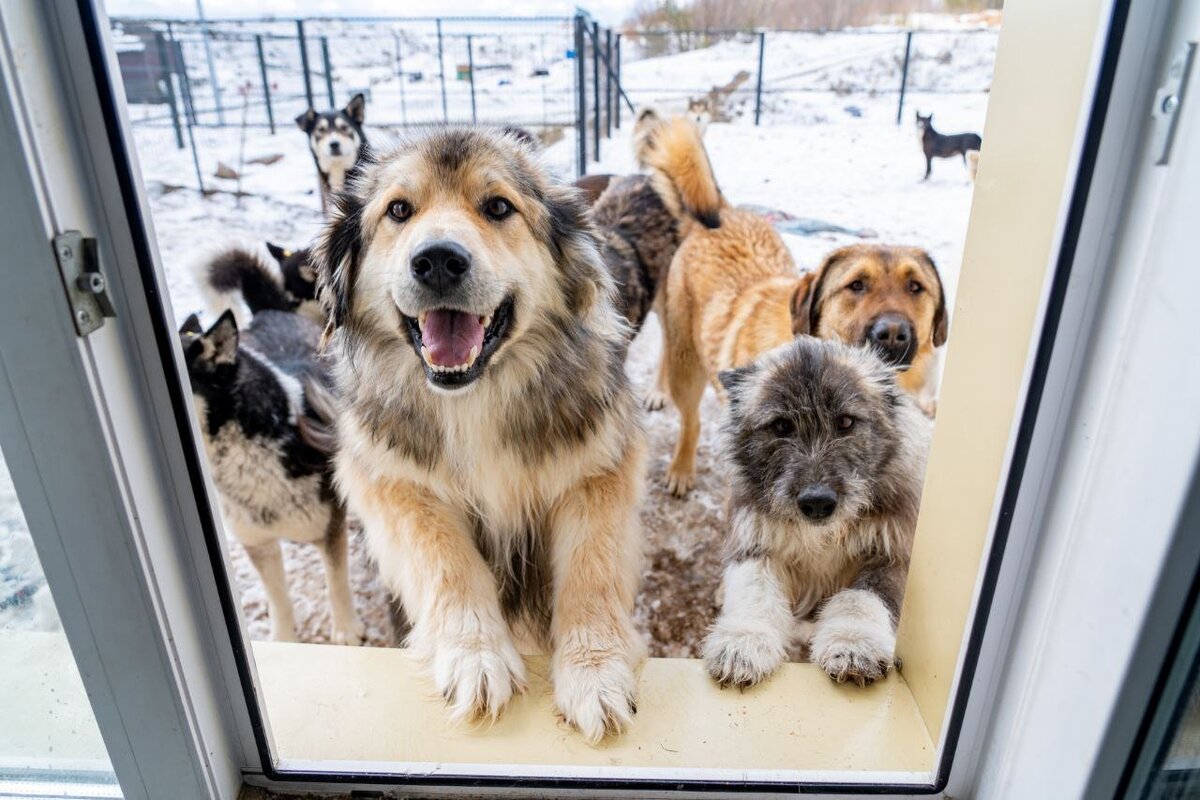 ФОТО: пресс-служба Администрации Нягани