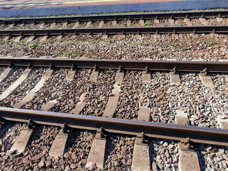    Maksim Konstantinov/Global Look Press