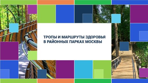 Где в Москве: Тропы и маршруты здоровья в районных парках