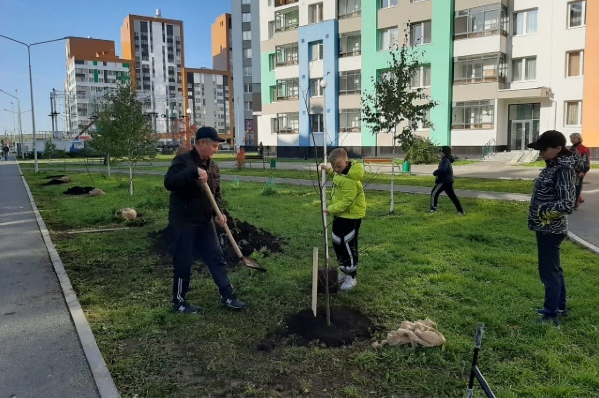    В Академическом в конце апреля начнётся сезон субботников