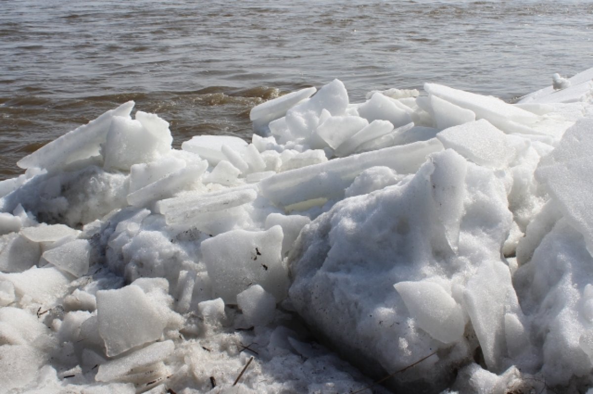    Томские власти объезжают населенные пункты, на которых может быть паводок