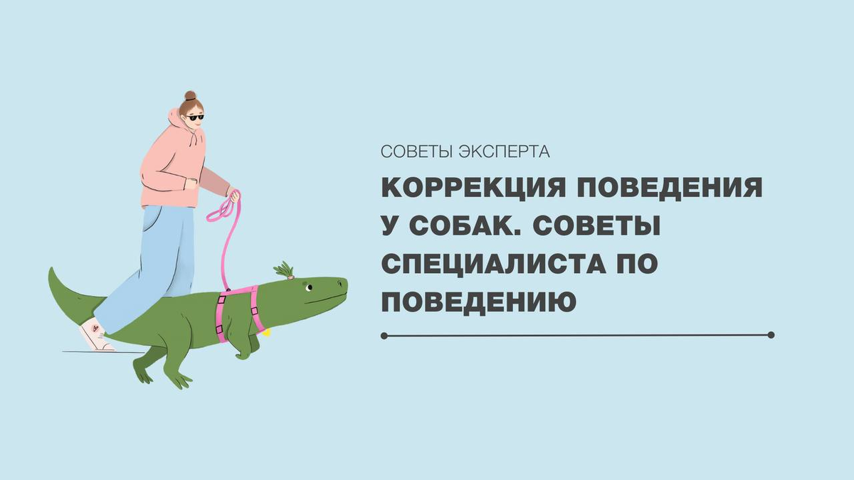 КОРРЕКЦИЯ ПОВЕДЕНИЯ СОБАК. Советы специалиста по поведению. | ЛавГав | Дзен