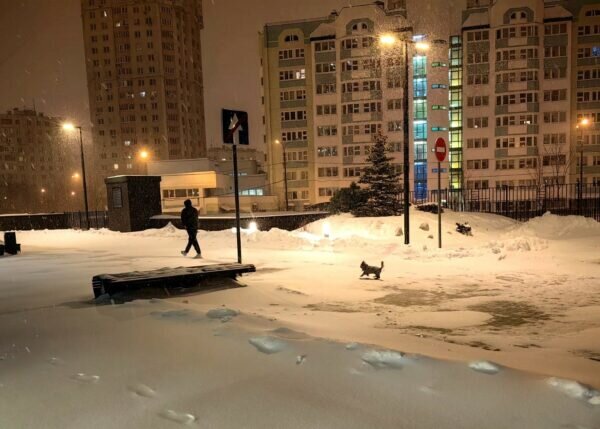    Фото: Никита Чудин. UG.RU