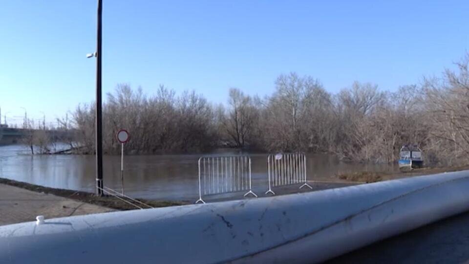 Фото: © Скриншот видео