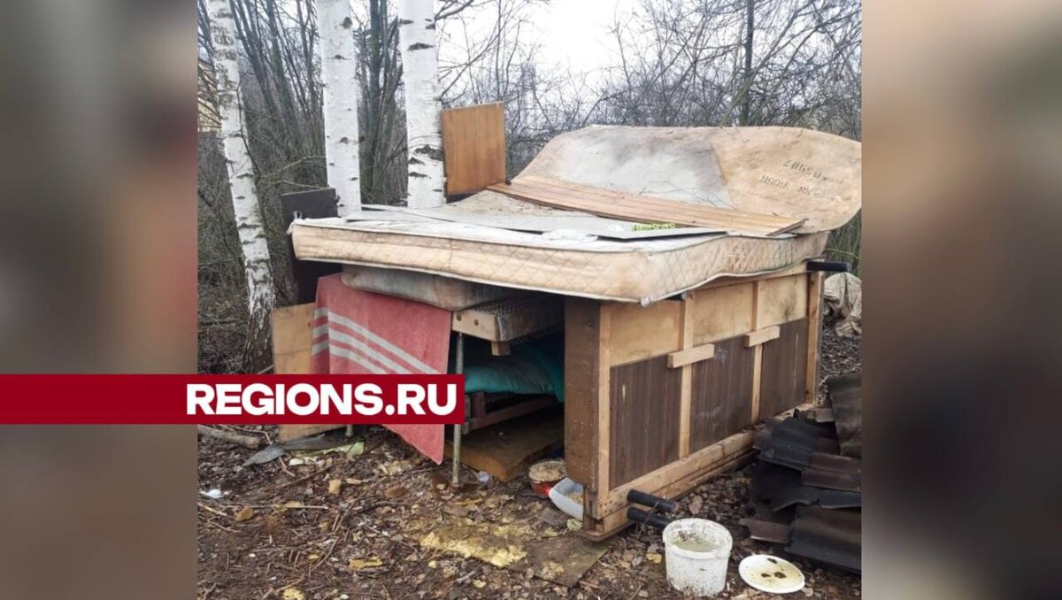 Домик, который построили пенсионеры для семьи собак. Фото Татьяна Чебрякова