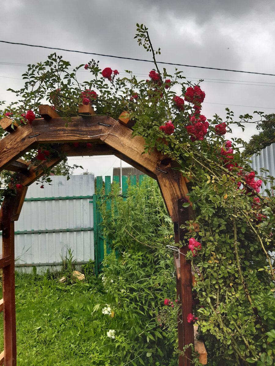 Как сделать садовую арку своими руками 🌸 Лучше, чем у соседей