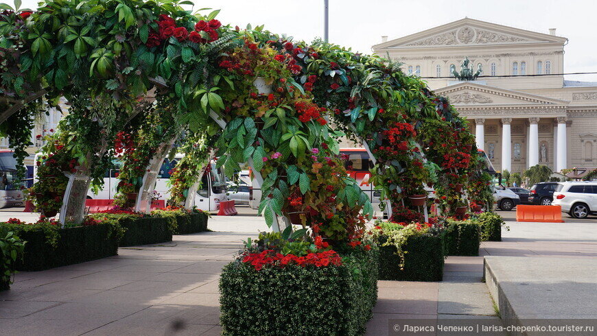 © Лариса Чепенко