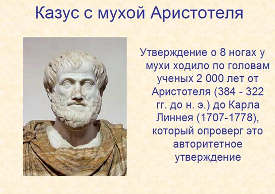 Кадр со Студопедии